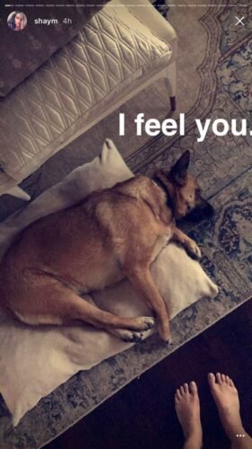 Shay Mitchell Feet Toes And Soles 858