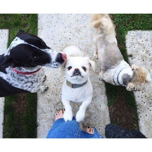 Elizabeth Gillies Feet Toes And Soles 266