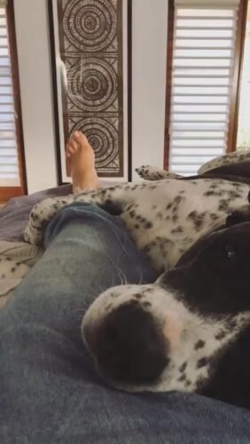 Elizabeth Gillies Feet Toes And Soles 376