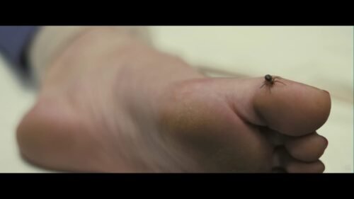 Gemma Arterton Feet Toes And Soles 231