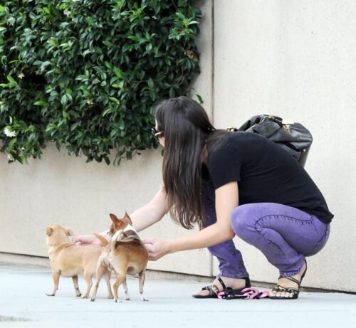Katharine McPhee Feet Toes And Soles 428
