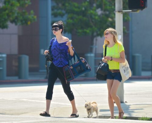 Krysten Ritter Feet Toes And Soles 105