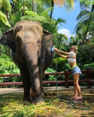 Maja Suput Feet Toes And Soles 341