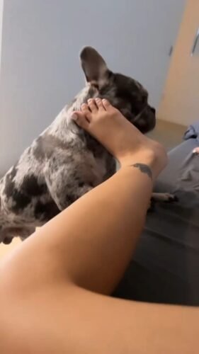 Malu Trevejo Feet Toes And Soles 136