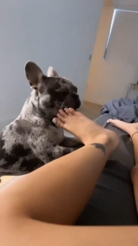 Malu Trevejo Feet Toes And Soles 138