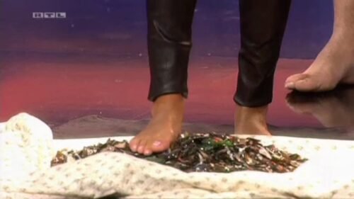 Sylvie Meis Feet Toes And Soles 42