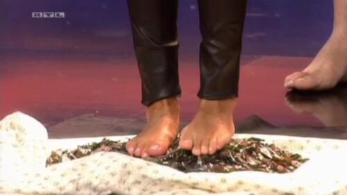 Sylvie Meis Feet Toes And Soles 43