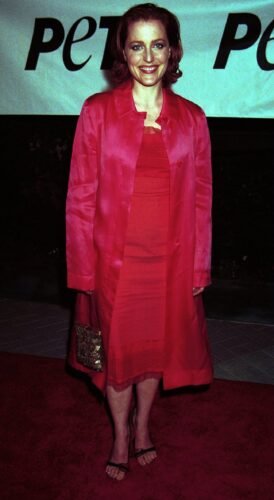 Gillian Anderson Feet Toes And Soles 419