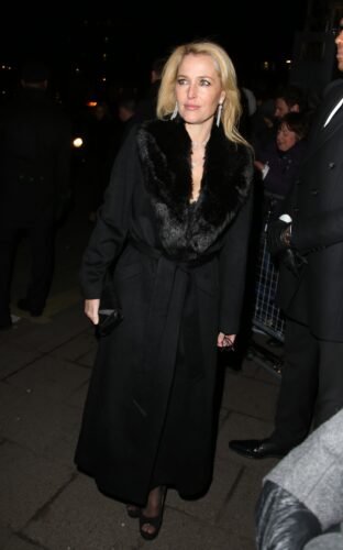 Gillian Anderson Feet Toes And Soles 469
