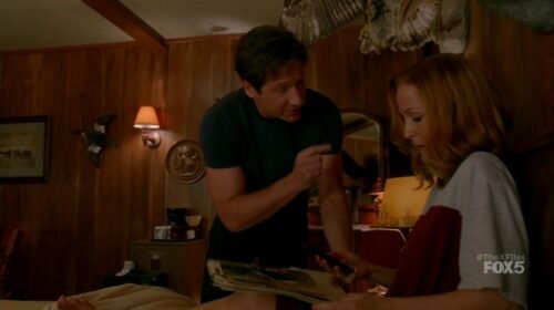 Gillian Anderson Feet Toes And Soles 509