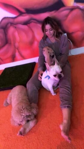 Chloe Bennet Feet Toes And Soles 195