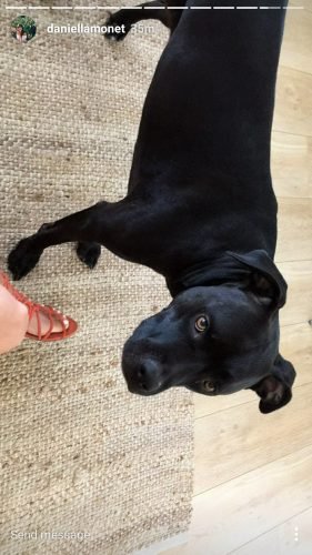 Daniella Monet Feet Toes And Soles 300