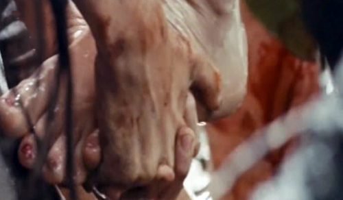 Naomi Watts Feet Toes And Soles 1165