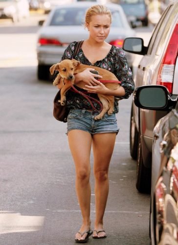 Hayden Panettiere Feet Toes And Soles 40