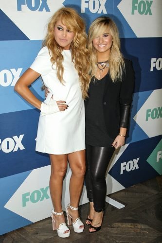 Demi Lovato Feet Toes And Soles 731