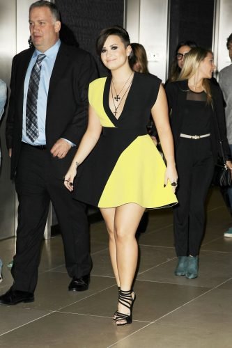 Demi Lovato Feet Toes And Soles 863