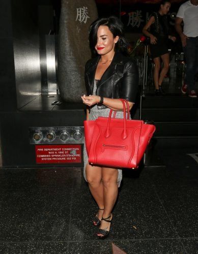 Demi Lovato Feet Toes And Soles 1022