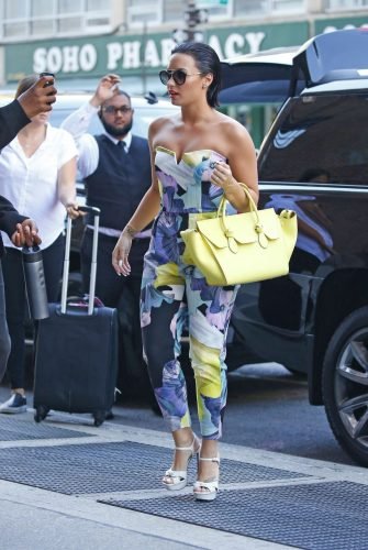 Demi Lovato Feet Toes And Soles 1037