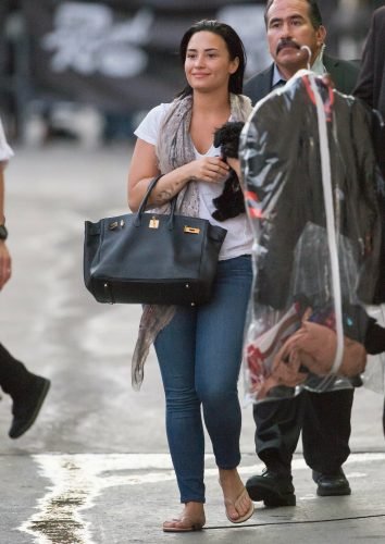 Demi Lovato Feet Toes And Soles 1106