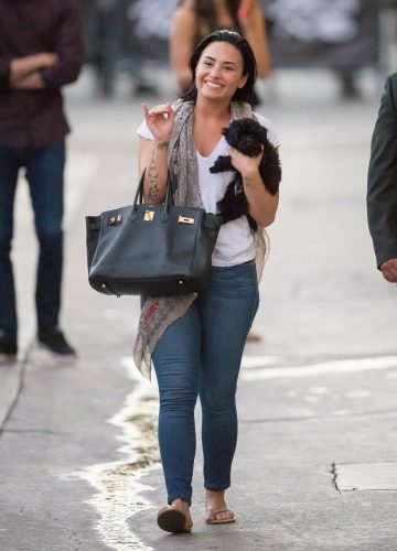 Demi Lovato Feet Toes And Soles 1108