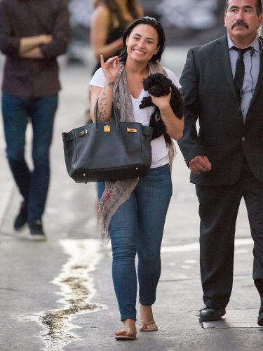 Demi Lovato Feet Toes And Soles 1122