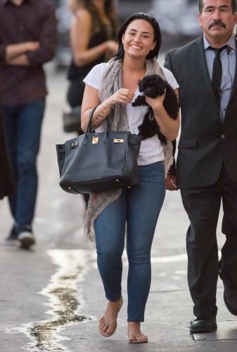Demi Lovato Feet Toes And Soles 1123
