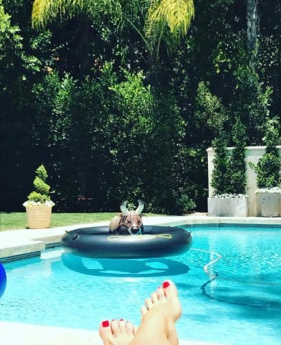 Sofia Vergara Feet Toes And Soles 1663