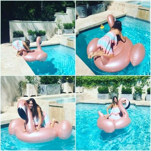 Sofia Vergara Feet Toes And Soles 1685