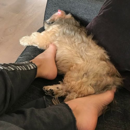 Roselyn Sanchez Feet Toes And Soles 518